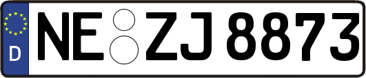 NE-ZJ8873