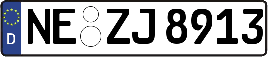 NE-ZJ8913