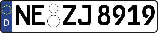 NE-ZJ8919
