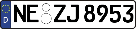 NE-ZJ8953