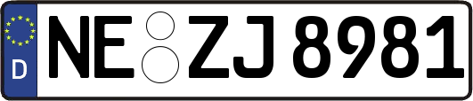 NE-ZJ8981