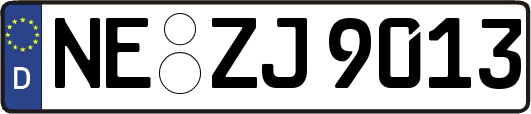 NE-ZJ9013