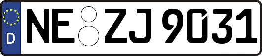 NE-ZJ9031
