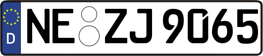 NE-ZJ9065