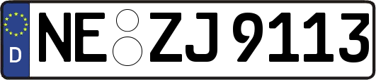 NE-ZJ9113