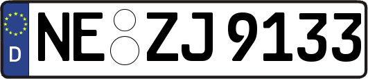 NE-ZJ9133