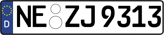 NE-ZJ9313