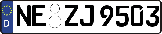 NE-ZJ9503