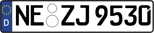 NE-ZJ9530