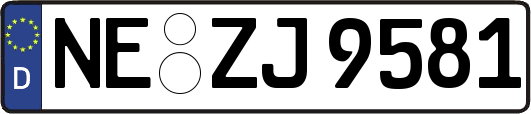 NE-ZJ9581