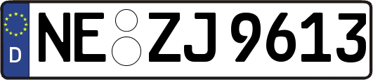 NE-ZJ9613