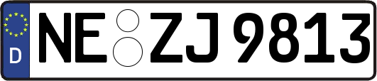 NE-ZJ9813