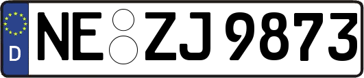 NE-ZJ9873