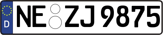 NE-ZJ9875