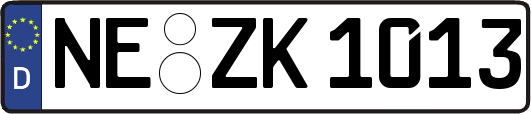 NE-ZK1013
