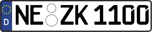 NE-ZK1100