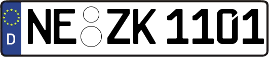NE-ZK1101