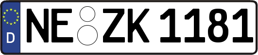 NE-ZK1181