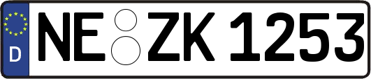 NE-ZK1253