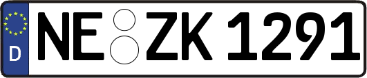 NE-ZK1291
