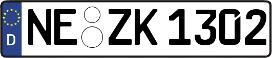 NE-ZK1302