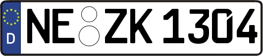 NE-ZK1304
