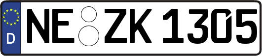 NE-ZK1305