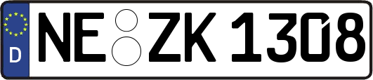 NE-ZK1308