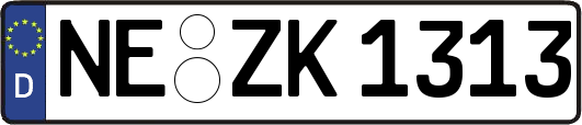 NE-ZK1313
