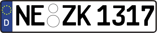NE-ZK1317