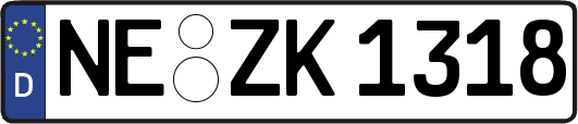 NE-ZK1318