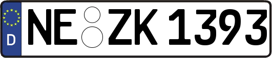 NE-ZK1393