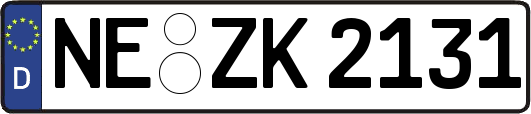 NE-ZK2131