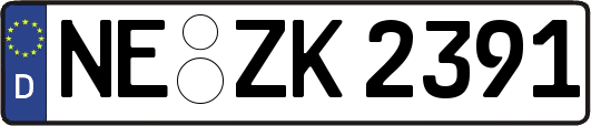 NE-ZK2391
