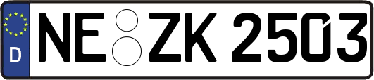 NE-ZK2503