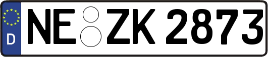 NE-ZK2873