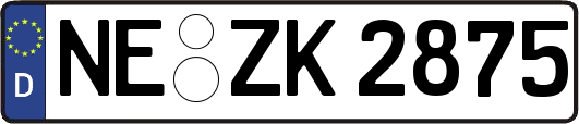 NE-ZK2875