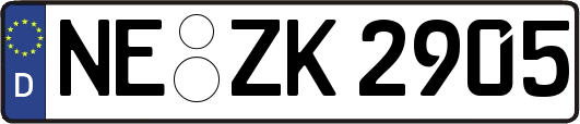 NE-ZK2905