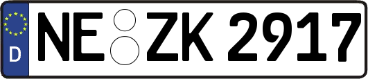 NE-ZK2917