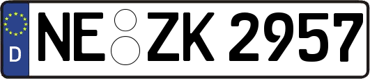 NE-ZK2957
