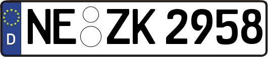 NE-ZK2958