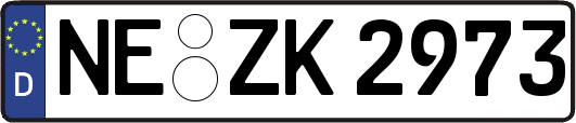 NE-ZK2973