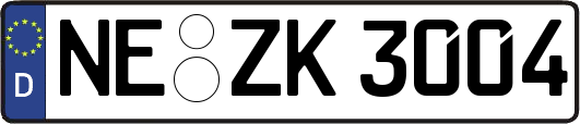 NE-ZK3004
