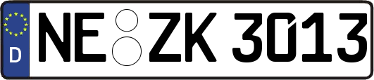 NE-ZK3013