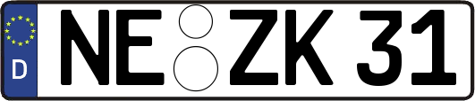 NE-ZK31