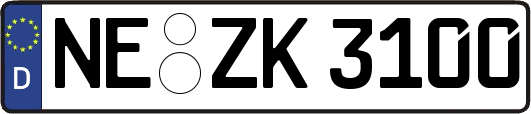 NE-ZK3100