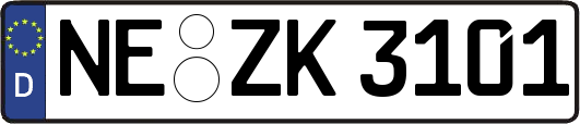 NE-ZK3101