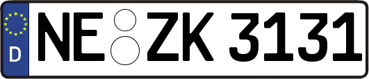 NE-ZK3131