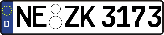 NE-ZK3173
