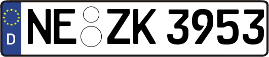 NE-ZK3953